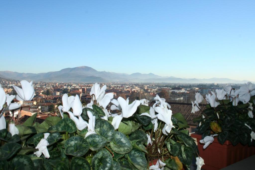 Casa Vacanza Fontana Del Delfino Bergamo Camera foto
