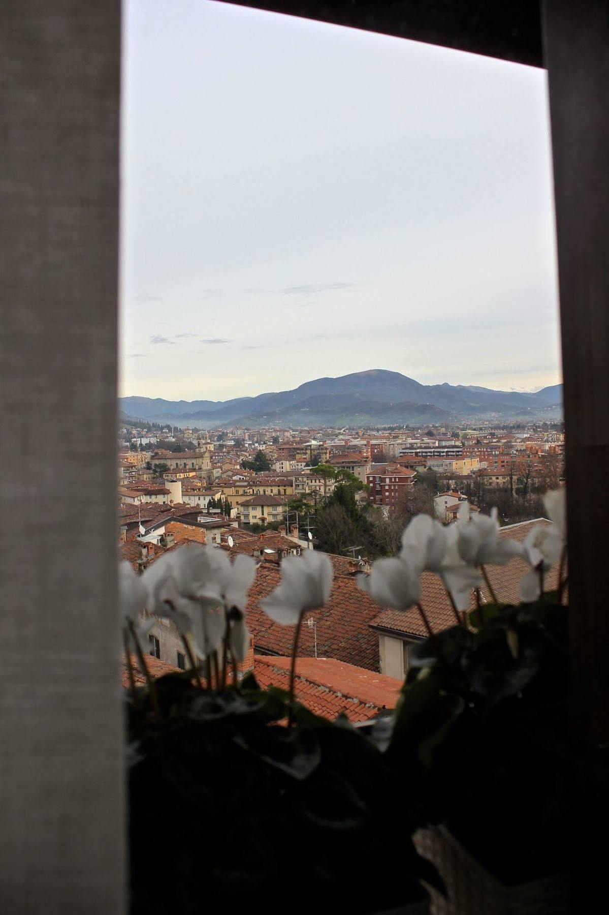 Casa Vacanza Fontana Del Delfino Bergamo Esterno foto